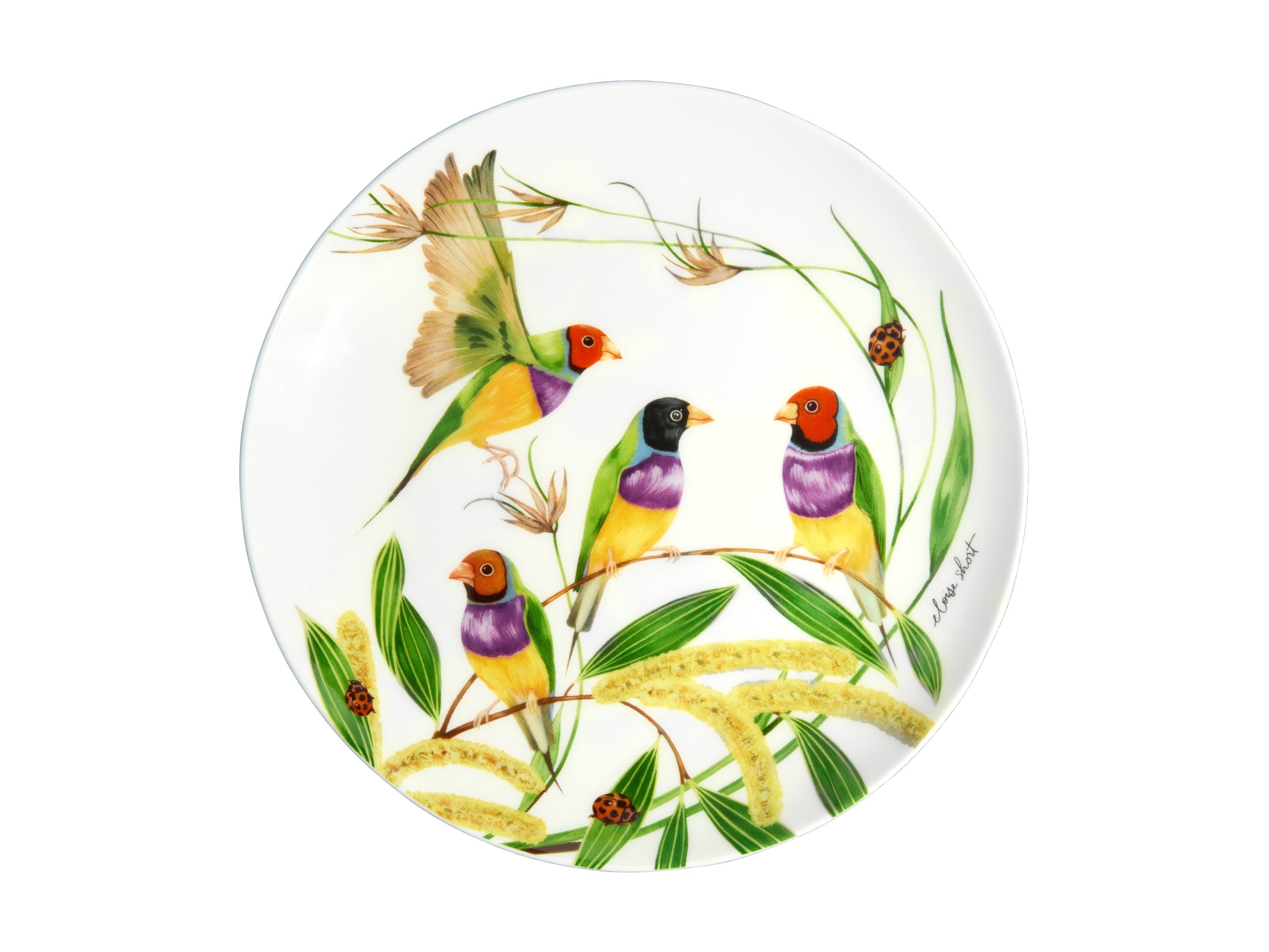 Maxwell and Williams Lyric Coupe Plate 20cm Gouldian Finch Fine Bone China Side Plate 