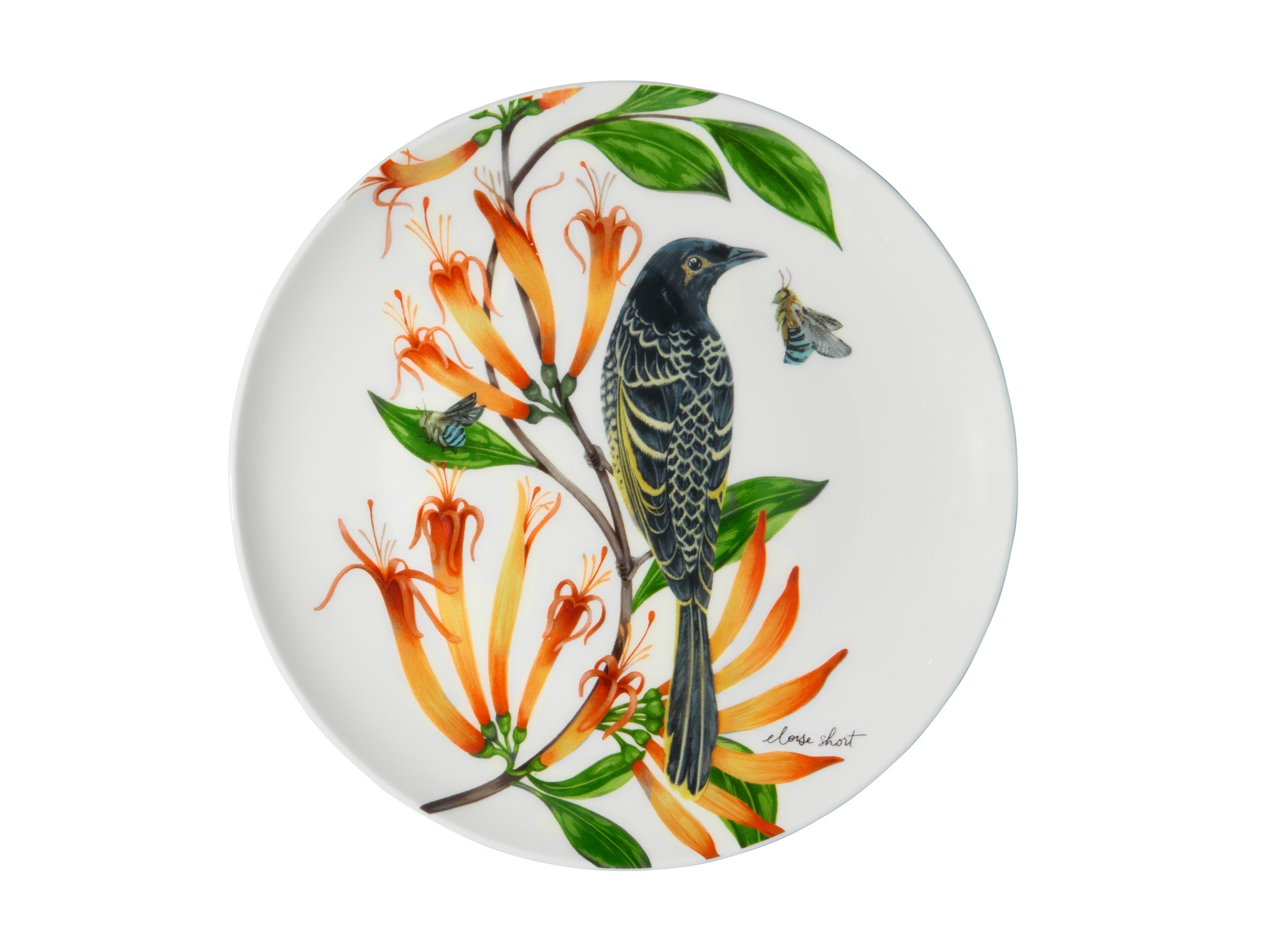 Maxwell and Williams Lyric Coupe Plate 20cm Regent Honeyeater Fine Bone China Side Plate 