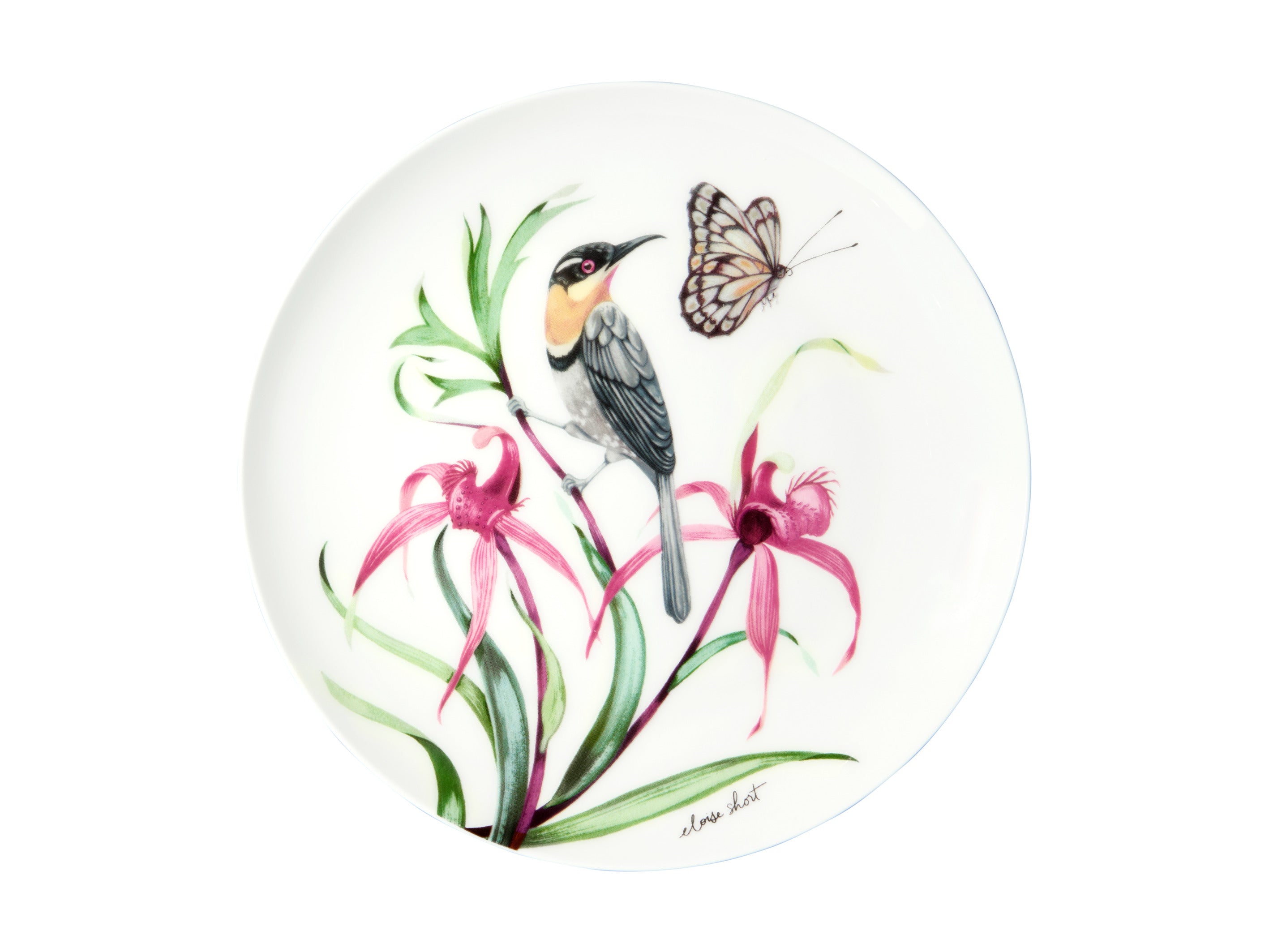 Maxwell and Williams Lyric Coupe Plate 20cm Spinebill Honeyeater