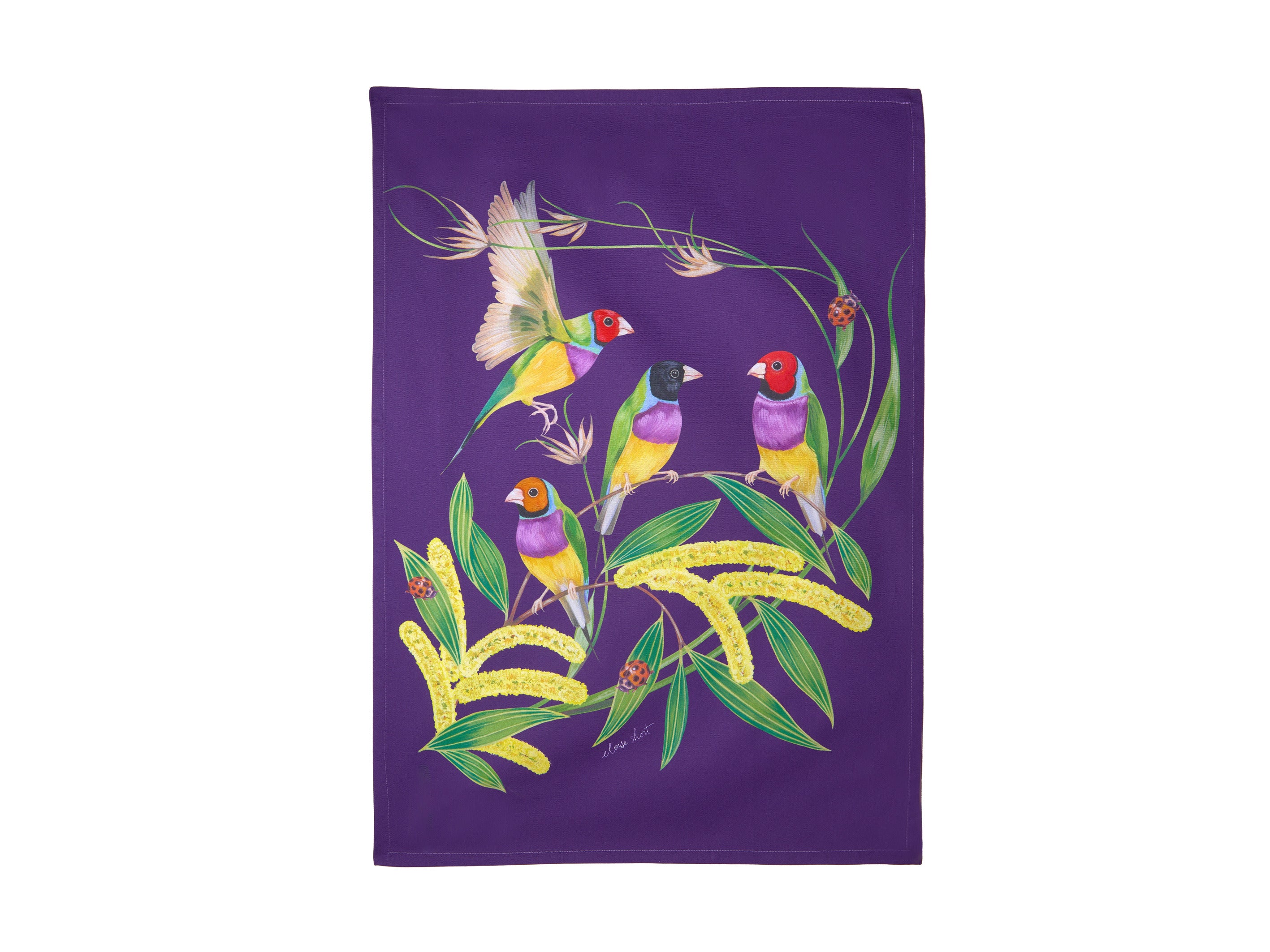 Maxwell and Williams Lyric Tea Towel 50x70cm Gouldian Finch Eloise Short 
100% Cotton 