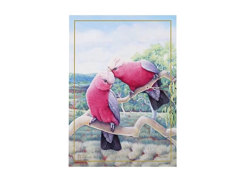 Birds of Australia 10 year Anniversary Tea Towel 50x70cm Galah
two pink birds on gum