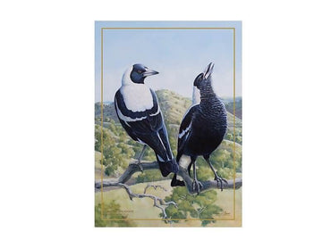 Birds of Australia 10 year Anniversary Tea Towel 50x70cm Magpie
black and white bird
